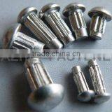 Offer High Quality Rivets for Rame Plate thumbnail-1