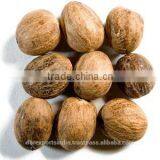 Nutmeg Oil (CNS) (Whole Sale Rate) thumbnail-1