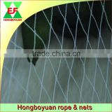 Best sale of new virgin hdpe cheap bird netting made in China