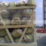 White Garlic thumbnail-1