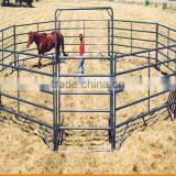 Livestock handling equipment for cattle