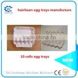 Paper Mold Pulp Egg Tray Packaging thumbnail-4