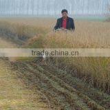 Multifunctional Mini Reaper Head in Harvesters thumbnail-2