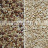 Intelligent CCD Grain Color Sorter thumbnail-2