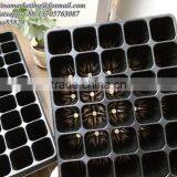 45 Cell Plastic Tubs of Seedlings of Forest and Tree, Plastic Plug Nursery Seed Growing Tray Provided by China Good Suplier thumbnail-2
