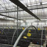 Rolling Greenhouse Bench thumbnail-4