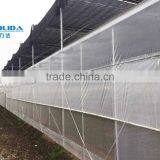 BLD Large Multi-span Venlo Plastic Film Greenhouse and Gutter Connected Greenhouse thumbnail-2