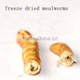 Vacuum Freeze Dried Mealworm Pet Bird Food thumbnail-2