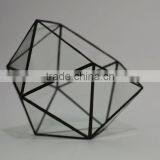 Home Design Clear Glass Terrarium Succulent Plants Greenhouses thumbnail-2