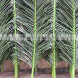 CHY070905 Indoor & Outdoor Palm Tree Leaf Products thumbnail-1
