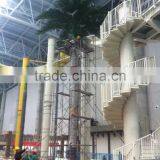 Royal Coconut Palm Tree for Indoor Amusement Park Decoration
