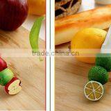 2015 Stainless Steel Fruit Shaped Handle Knife With pp Handle thumbnail-5