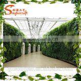 Hot Sale Artificial Green Wall for Decoration Artificial Plant Wall thumbnail-2