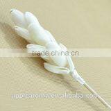 Bamboo Shoot Sola Flower Aroma Diffuser With Reed or Cotton Rope thumbnail-3