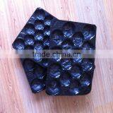 Disposable Serving Plastic Fruit PP Pear Tray thumbnail-2