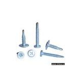 Sell Flat Head Self-Tapping and Self Drilling Screw