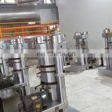 Factory Directly Sale Automatic Cold Press Kenya Small Avocado Oil Press Machine thumbnail-4