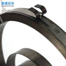 Carbon Steel Spring for Hose Reel Recoil Spring thumbnail-2
