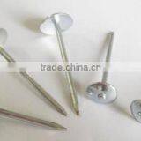 Roofing Nail With Umbrella Head