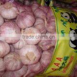 Chinese Fresh Normal White Garlic New Crop 2016 Top Quality thumbnail-5
