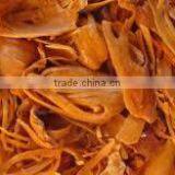 Spice thumbnail-1