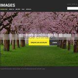 CodeIgniter Web Development thumbnail-3