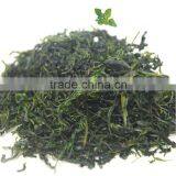Premium Slimming Tea Sweet ku Ding Bitter Butyl Herbal Tea Small Leaf Kuding Green Tea thumbnail-4