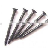 polished common wire nails