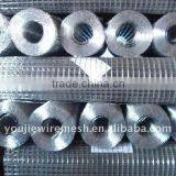 Galvanized Welded Wire Mesh(Youjie Factory)