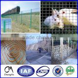 small bird cage wire mesh / welded wire mesh panel (manufacturer)