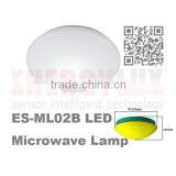 Dimmer Lamp for Ceiling With Microwave Sensor