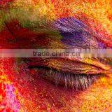 Certified High Quality Color Powder Gulal Rangoli Colors Powder Pure Natural Color Powder thumbnail-4