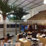 Nature Pacific Pty Ltd company overview - view 2 thumbnail