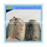 China Product 425 Grams Canned Mackerel Fish in Brine(ZNMB0016)
