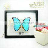 FOUSEN(040) Nature& Art Natual Home Decoration Supplier Glass Butterfly Wall Decorations thumbnail-2