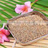 Zira (cumic) thumbnail-6