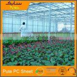 10mm Polycarbonate Greenhouses Commercial Greenhouse thumbnail-3