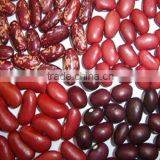 Red Kidney Bean/square Bean 2010 thumbnail-1