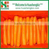 2016 Best Quality Fresh Red Carrots thumbnail-4