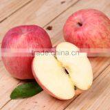 New Arrival Fresh Fuji Apple With Best Price Brand Yitian Sweet Fuji Apple thumbnail-6