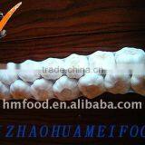 Fresh Garlic thumbnail-1