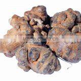 GMP Kosher Natural Panax Notoginseng Root Extract thumbnail-2