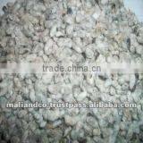 Cotton Seed thumbnail-1