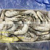 Grade A HOSO Vannamei,Shrimp Vannamei From India thumbnail-1