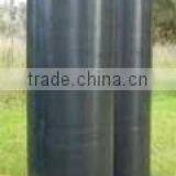 Fish Tank thumbnail-1