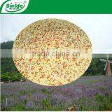 Npk Compound Fertilizer 15-5-20 thumbnail-1