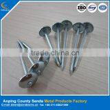 BWG10*2" Zinc Coating Corrugated Roofing Nails thumbnail-1