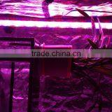 MarsHydro LED Grow Bar Grow Strip IP65 Waterproof Led Grow Light Bar Full Spectrum thumbnail-4