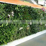 CHY040816 Artificial Green Wall in Garden Oranment Plastic Vertical Plants thumbnail-1