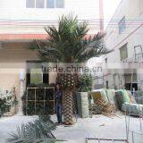 Q020211manufacturer Artificial Tree no Leaves Plastic Palm Tree Vivid Artificial Tree Trunk thumbnail-3